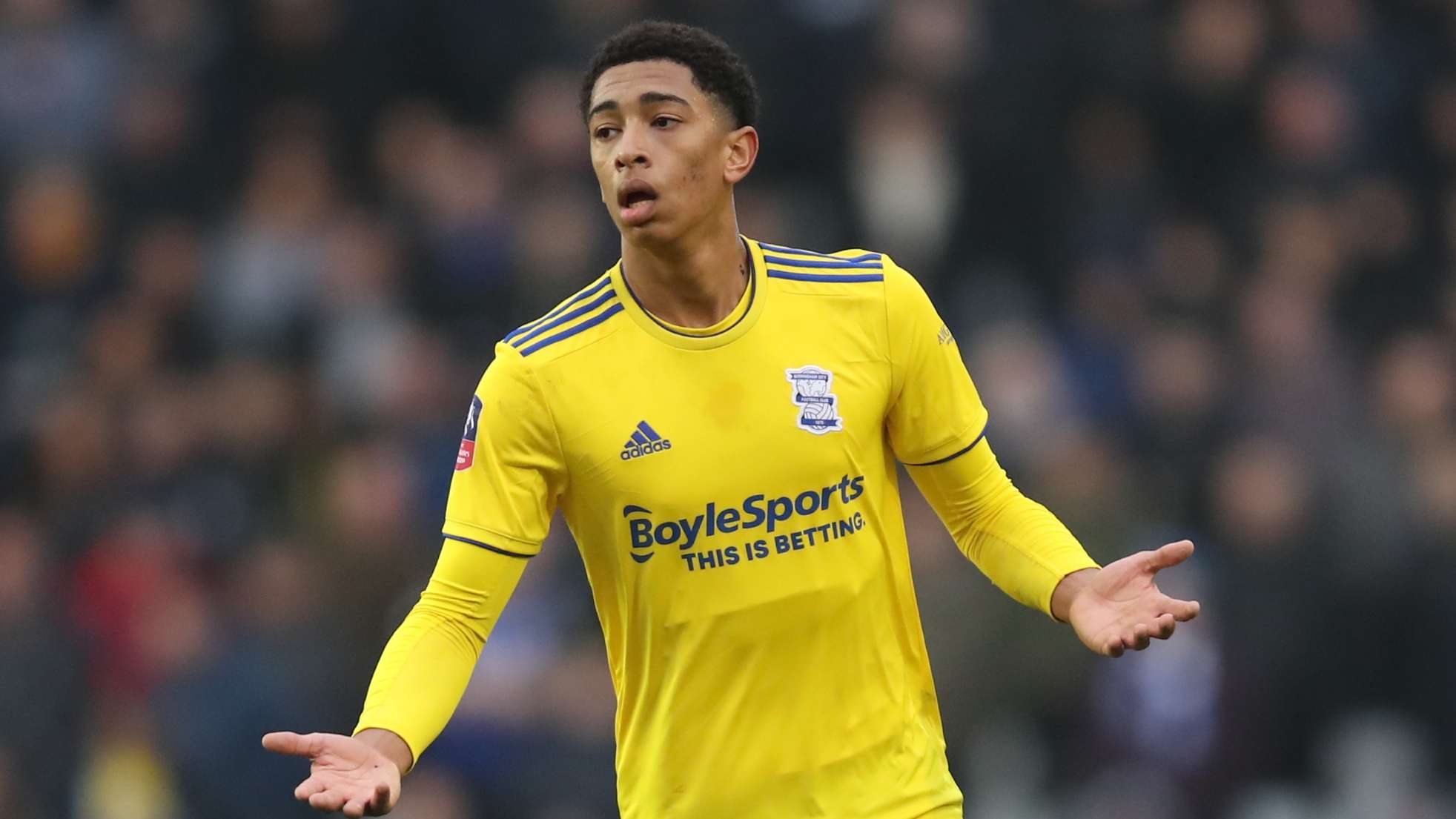 球皇马球迷 球皇马球迷