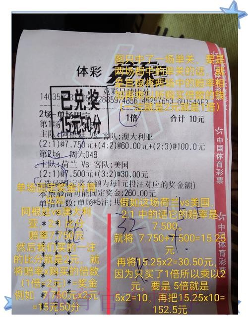 世界杯外围投注全解:份额分布与盈利机会分析 世界杯外围投注全解:份额分布与盈利机会分析